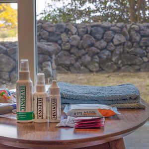 Royal Room Pet Room Pet Amenities